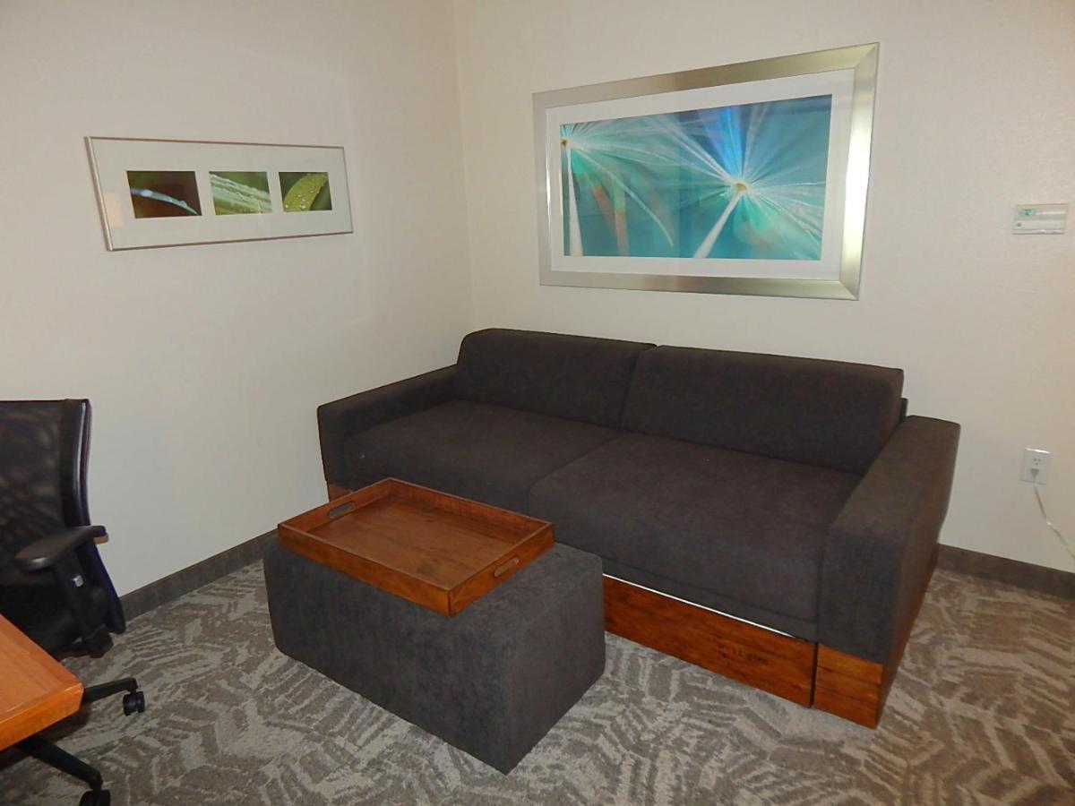 Springhill Suites By Marriott Corpus Christi Dış mekan fotoğraf
