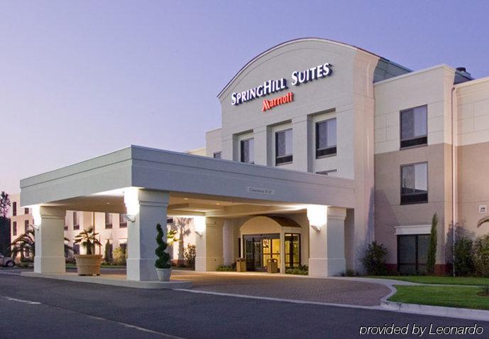 Springhill Suites By Marriott Corpus Christi Dış mekan fotoğraf